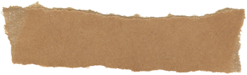 Ripped Paper